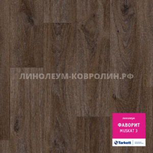 Линолеум бытовой усиленный Таркетт Фаворит Мускат 3 Линолеум бытовой усиленный Таркетт Фаворит Мускат 3